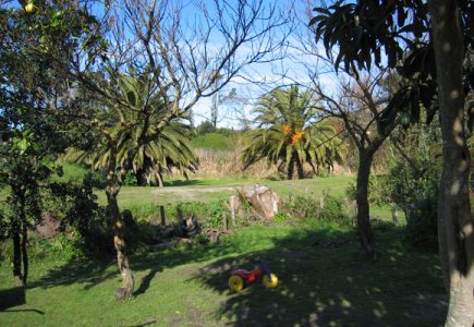 Gisborne, Anzac