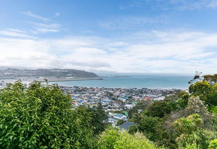 wellington_melrose_03